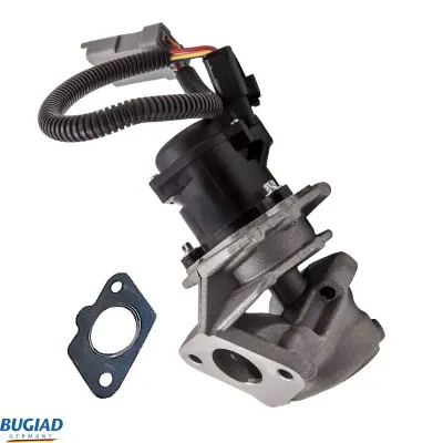 Válvula EGR BUGIAD BGR13059