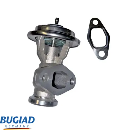 Válvula EGR BUGIAD BGR13114