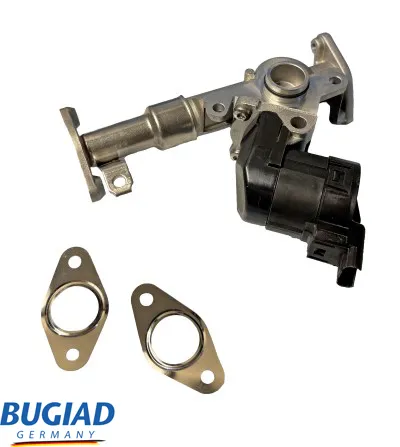 Válvula EGR BUGIAD BGR13116