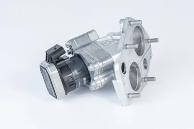 Válvula EGR BTS Turbo A100041