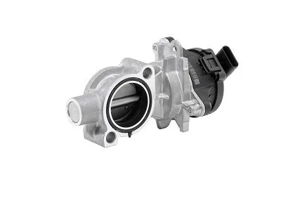 Válvula EGR BTS Turbo A100098