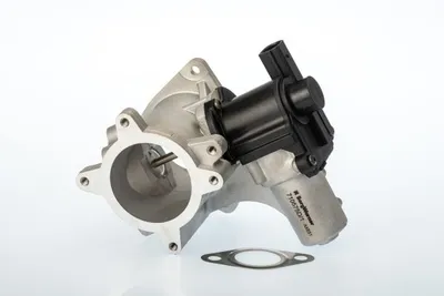 Válvula EGR Vw TOUAREG · Vw MULTIVAN T5 · Vw TRANSPORTER T5 Platform/Chassis (7JD, 7JE, 7JL, 7JY, 7JZ, 7F