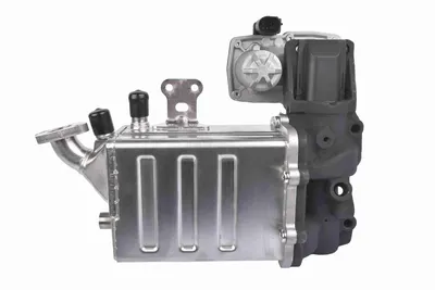 Elemento enfriador, reciclaje gases escape Man TGE Van · Man TGE Platform/Chassis · Man TGE Bus