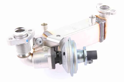 Elemento enfriador, reciclaje gases escape Bmw 5 · Bmw 5 Touring · Bmw 1