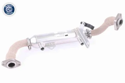 Elemento enfriador, reciclaje gases escape Alfa Romeo 156 · Alfa Romeo 156 Sportwagon · Alfa Romeo 147