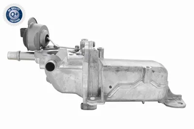 Elemento enfriador, reciclaje gases escape Fiat TALENTO Bus · Fiat TALENTO Van · Fiat TALENTO Platform/Chassis
