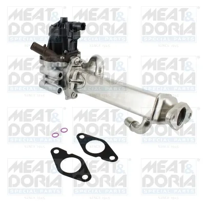 Módulo EGR Fiat DUCATO Bus · Fiat DUCATO Van · Fiat DUCATO Platform/Chassis