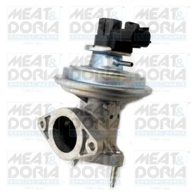 Válvula EGR Ford TRANSIT Bus · Ford TRANSIT Van · Ford TRANSIT Platform/Chassis