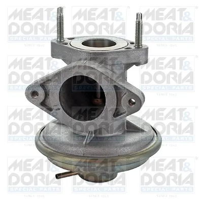 Válvula EGR Ford TRANSIT Bus · Ford TRANSIT Van · Ford TRANSIT Platform/Chassis