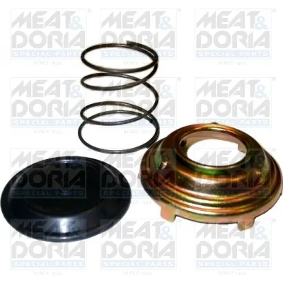 Sistema de inyección MEAT & DORIA 9064