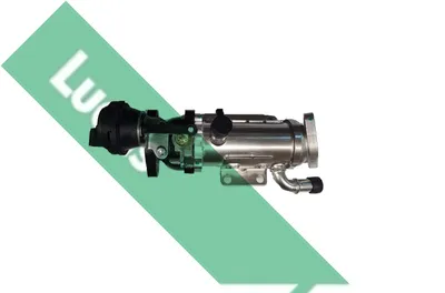 Elemento enfriador, reciclaje gases escape Nissan PRIMASTAR Bus · Nissan PRIMASTAR Van · Opel VIVARO A Van
