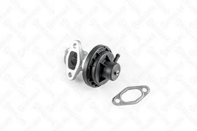 Válvula EGR Seat CORDOBA · Seat IBIZA II · Seat INCA