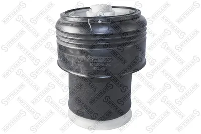 Fuelle, suspensión neumática Bmw X5 · Bmw X6