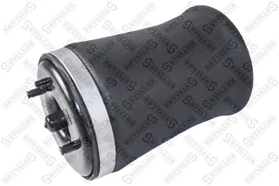 Fuelle, suspensión neumática Bmw X5
