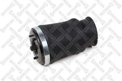 Fuelle, suspensión neumática Bmw 5 Touring