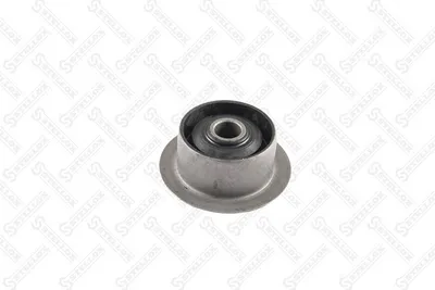 Casquillo del cojinete, ballesta Ford TRANSIT Bus · Ford TRANSIT Van · Ford TRANSIT Platform/Chassis