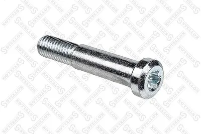 Tornillo prisionero, rótula pivote mangueta Ford FOCUS I · Ford FOCUS I Turnier · Ford FOCUS I Saloon