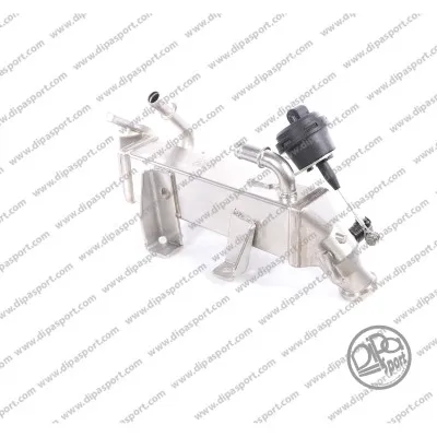 Elemento enfriador, reciclaje gases escape Renault ESPACE IV · Renault LAGUNA III · Renault LAGUNA III Grandtour