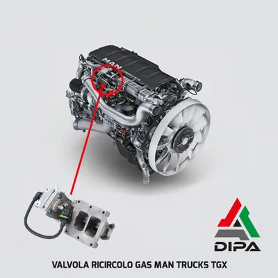 Válvula EGR DIPASPORT EGR610N