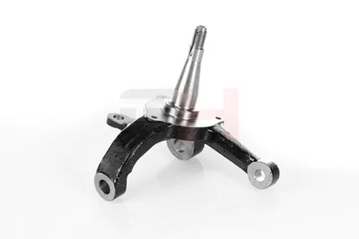 Muñón del eje, suspensión de rueda Isuzu D-MAX I