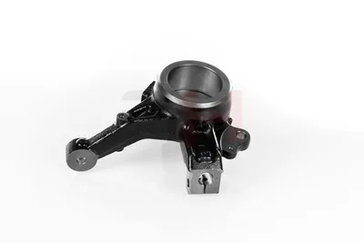 Muñón del eje, suspensión de rueda Fiat LINEA · Citroën NEMO Box Body/MPV · Peugeot BIPPER
