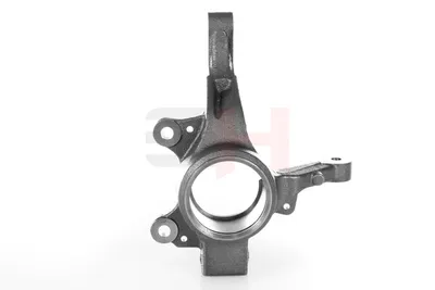 Muñón del eje, suspensión de rueda Renault CLIO III · Renault CLIO III Grandtour · Renault CLIO III Hatchback Van