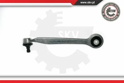 Barra oscilante, suspensión de ruedas Audi A4 B5 · Audi A8 D2 · Audi A6 C5