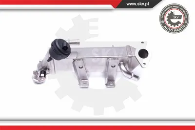 Elemento enfriador, reciclaje gases escape Nissan PRIMASTAR Bus · Nissan PRIMASTAR Van · Nissan QASHQAI I