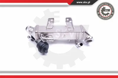 Elemento enfriador, reciclaje gases escape Renault LAGUNA II Grandtour · Renault LAGUNA III · Renault KOLEOS I