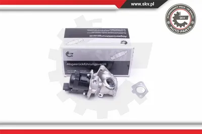 Válvula EGR Ford FIESTA V · Ford FUSION · Ford FOCUS C-MAX