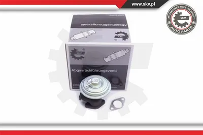 Válvula EGR Citroën C5 I · Citroën C5 I Break · Citroën C5 II