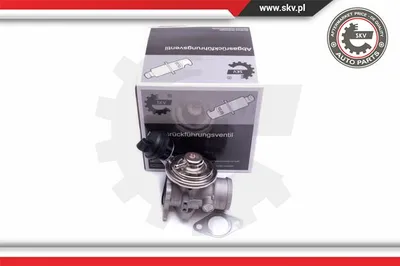 Válvula EGR Audi A2 · Seat AROSA · Vw LUPO I