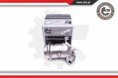 Elemento enfriador, reciclaje gases escape Seat IBIZA IV · Skoda RAPID · Skoda RAPID Spaceback