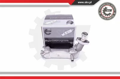 Elemento enfriador, reciclaje gases escape Bmw 3 · Bmw 3 Coupe · Bmw 3 Touring