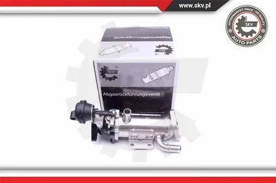 Elemento enfriador, reciclaje gases escape Nissan PRIMASTAR Bus · Nissan PRIMASTAR Van · Opel VIVARO A Van