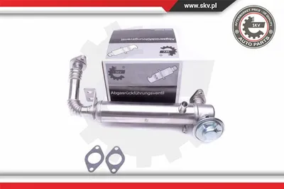 Elemento enfriador, reciclaje gases escape Fiat DUCATO Bus · Fiat DUCATO Van · Fiat DUCATO Platform/Chassis