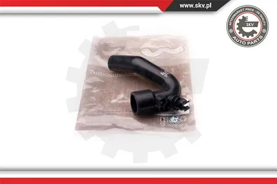 Tubo flexible, ventilación del cárter Skoda OCTAVIA I · Skoda OCTAVIA I Combi · Vw GOLF IV