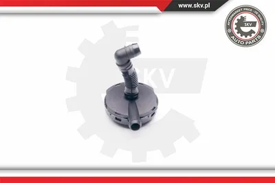 Válvula, ventilación del cárter Audi A6 C5 · Audi A6 C5 Avant · Audi A4 B6