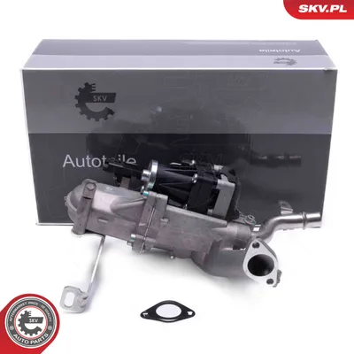 Válvula EGR Citroën BERLINGO / BERLINGO FIRST Box Body/MPV · Citroën BERLINGO / BERLINGO FIRST MPV · Citroën C4 PICASSO I MPV