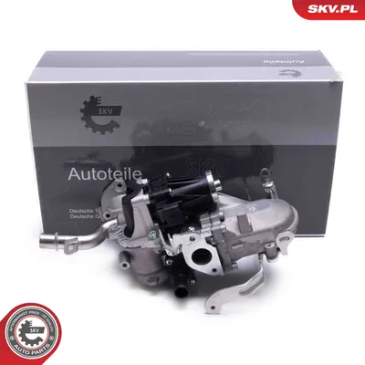 Elemento enfriador, reciclaje gases escape Citroën BERLINGO / BERLINGO FIRST Box Body/MPV · Citroën BERLINGO / BERLINGO FIRST MPV · Citroën JUMPY II