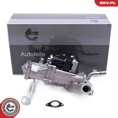 Elemento enfriador, reciclaje gases escape Citroën BERLINGO / BERLINGO FIRST Box Body/MPV · Citroën BERLINGO / BERLINGO FIRST MPV · Citroën C4 PICASSO I MPV