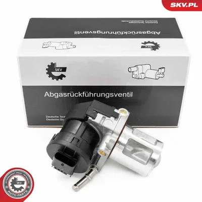 Válvula EGR Mercedes-Benz VITO Bus · Mercedes-Benz VITO / MIXTO Van · Mercedes-Benz M-CLASS