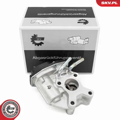 Válvula EGR Nissan PATHFINDER III · Nissan NAVARA NP300 · Nissan NAVARA NP300 Platform/Chassis