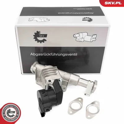 Válvula EGR Bmw 5 · Bmw 5 Touring · Bmw 1