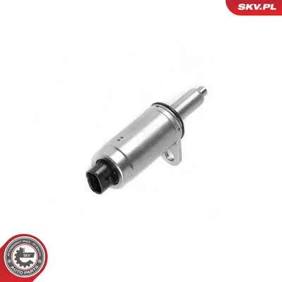 Válvula control, ajuste de levas Audi A8 D3 · Audi A6 C6 · Audi A6 C6 Avant