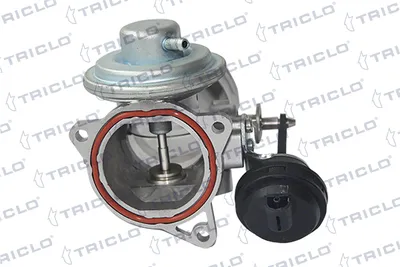 Válvula EGR Audi A3 · Seat TOLEDO II · Seat LEON