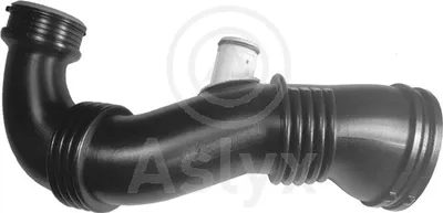 Tubo flexible de aspiración, filtro de aire Citroën BERLINGO / BERLINGO FIRST Box Body/MPV · Citroën BERLINGO / BERLINGO FIRST MPV · Citroën XSARA PICASSO