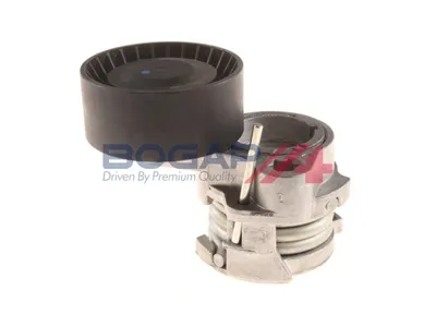 Tensor de correa, correa poli V Bmw X5