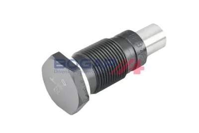 Tensor, cadena de distribución Audi A3 · Vw MULTIVAN T5 · Vw TRANSPORTER T5 Platform/Chassis (7JD, 7JE, 7JL, 7JY, 7JZ, 7F