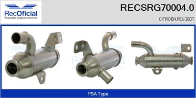 Elemento enfriador, reciclaje gases escape Peugeot 406 · Peugeot EXPERT · Citroën BERLINGO / BERLINGO FIRST MPV